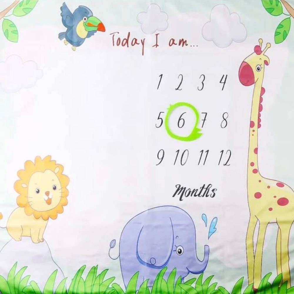 Baby monthly count blanket